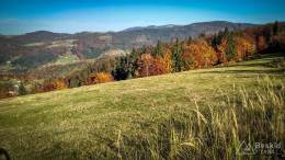 IMG_20171017_145720_HDR