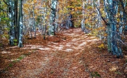 IMG_20171017_151731_HDR