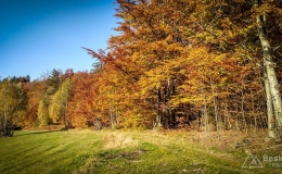 IMG_20171017_151915_HDR