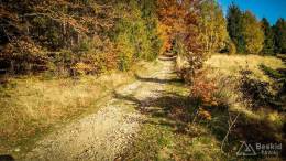 IMG_20171017_154140_HDR