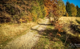 IMG_20171017_154140_HDR