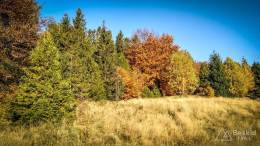 IMG_20171017_154155_HDR