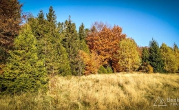 IMG_20171017_154155_HDR