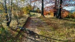 IMG_20171017_154213_HDR