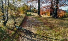 IMG_20171017_154213_HDR