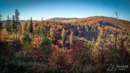 IMG_20171017_154411_HDR