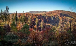 IMG_20171017_154411_HDR