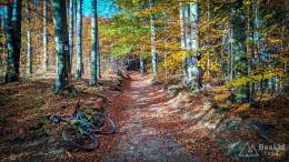 IMG_20171017_154541_HDR