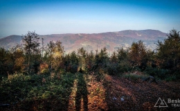 IMG_20171017_161100_HDR