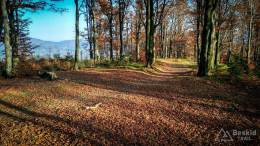 IMG_20171017_161206_HDR