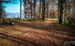 IMG_20171017_161206_HDR