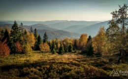 IMG_20171017_162113_HDR
