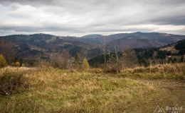 _DSC6665