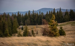 _DSC6746