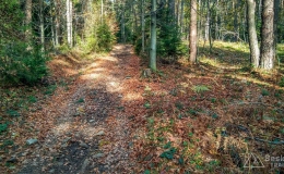 IMG_20171106_105649_HDR