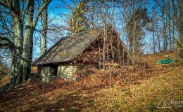 IMG_20171106_110947_HDR