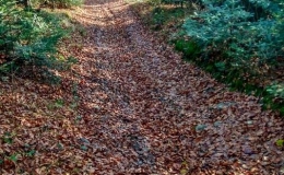 IMG_20171106_111758_HDR