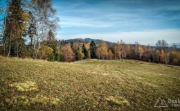 IMG_20171106_113141_HDR