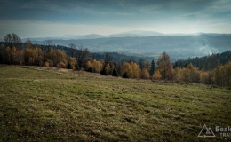IMG_20171106_113144_HDR