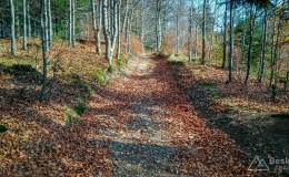 IMG_20171106_115107_HDR