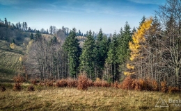 IMG_20171106_121804_HDR