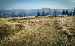 IMG_20171106_131700_HDR
