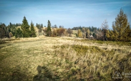 IMG_20171106_131730_HDR
