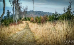 IMG_20171106_141807_HDR
