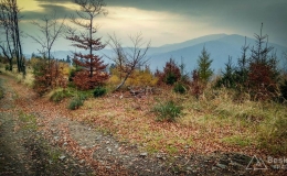 IMG_20171106_144327_HDR