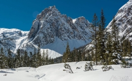 _DSC7541