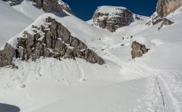 _DSC7554