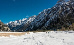 _DSC7585