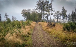 IMG_20180906_104239_HDR