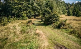 IMG_20180906_140843_HDR