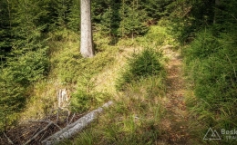 IMG_20180906_153340_HDR