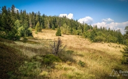 IMG_20180906_160352_HDR