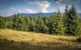 IMG_20180906_160356_HDR