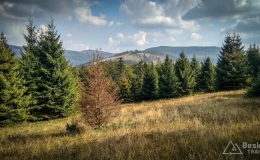 IMG_20180906_160400_HDR