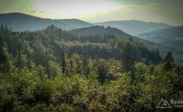 IMG_20180906_170153_HDR