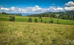 IMG_20180916_121338_HDR