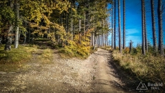 IMG_20181006_102306_HDR
