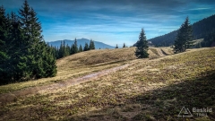 IMG_20181006_105515_HDR