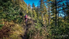 IMG_20181006_150810_HDR