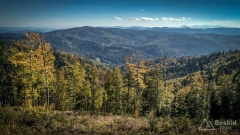 IMG_20181006_152713_HDR