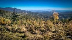 IMG_20181006_153241_HDR