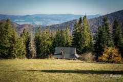 _DSC8167