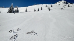 IMG_20190327_094719