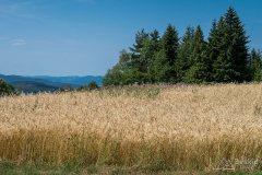 img_0489