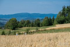 img_0490