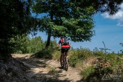 img_0493